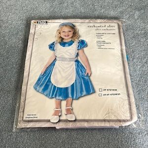 Enchanted Alice Halloween Costume